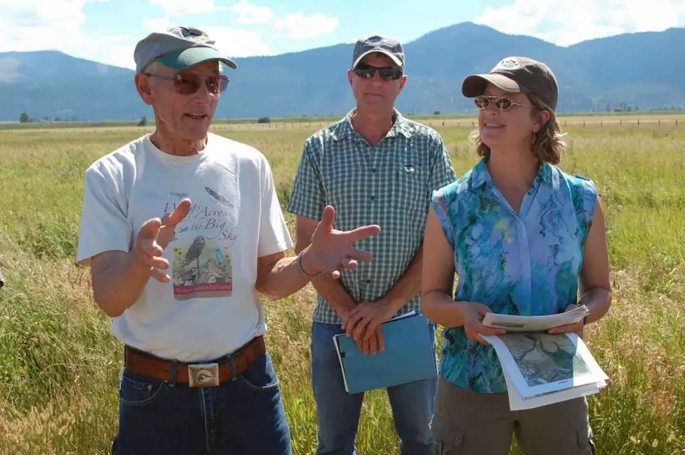 Unique Missoula Valley wetland provides habitat to rare and endangered birds