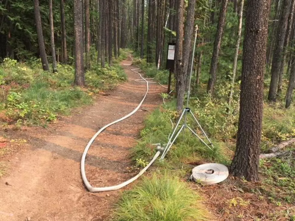 Firefighters have placed extensive sprinkler systems on the Howe Ridge fire's northern edge, including this system on the Rocky Point trail. (inciweb.gov)