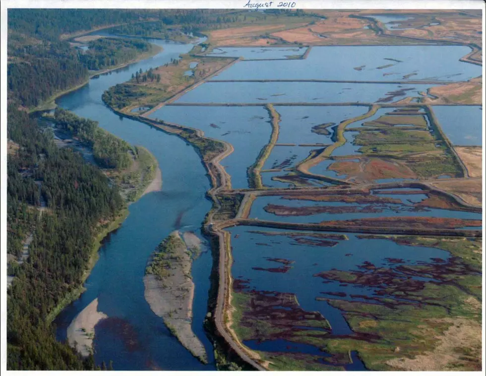 Citizens, scientists want Superfund cleanup to begin now at former pulp mill