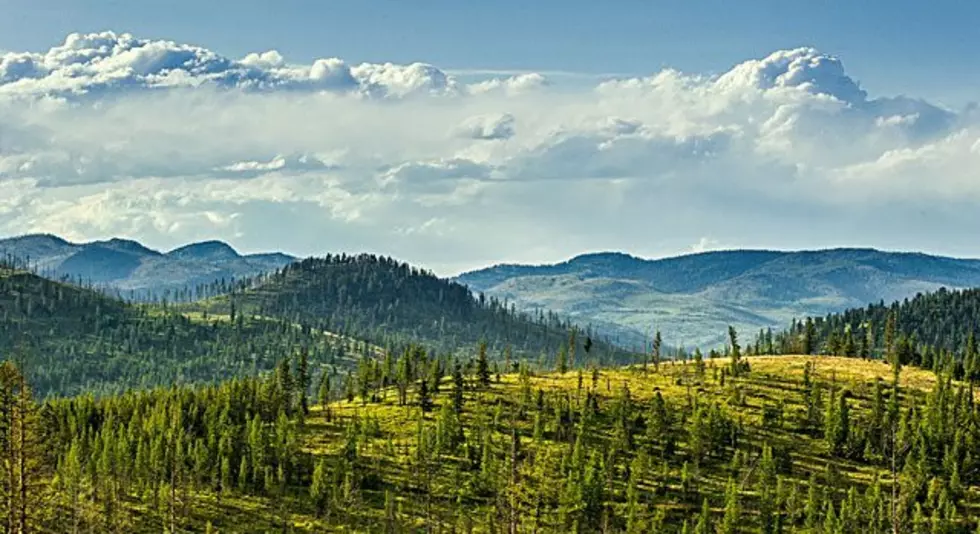 Tester bill protects 79,000 acres in Blackfoot-Clearwater