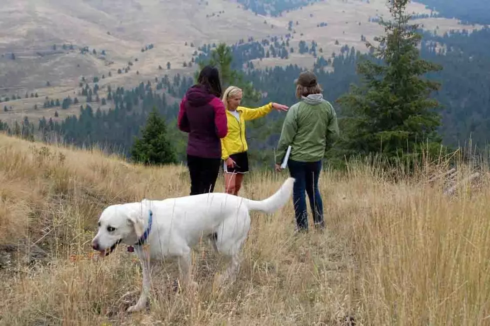 Bank erosion, user trails challenge city&#8217;s Parks Department