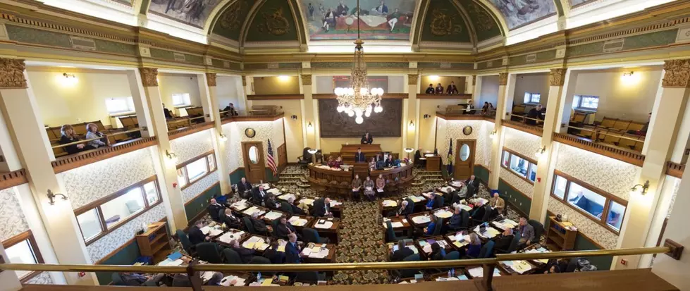 Senate convenes full-day floor session to act on 40 bills