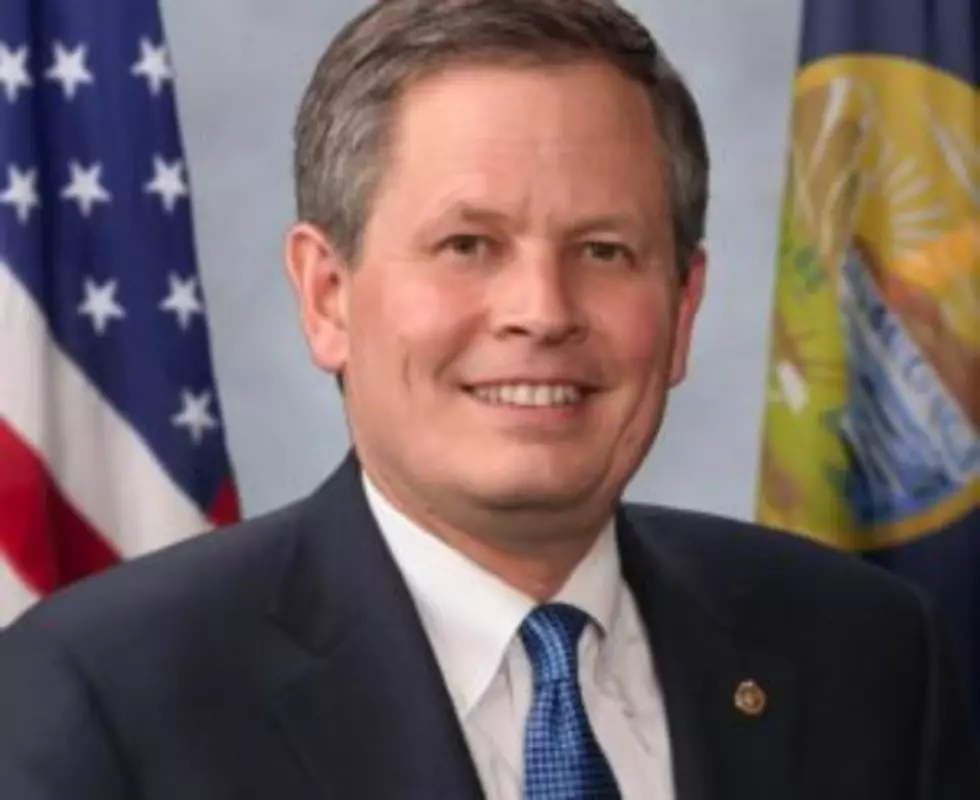 Sen. Daines assigned to five committees in 115th Congress