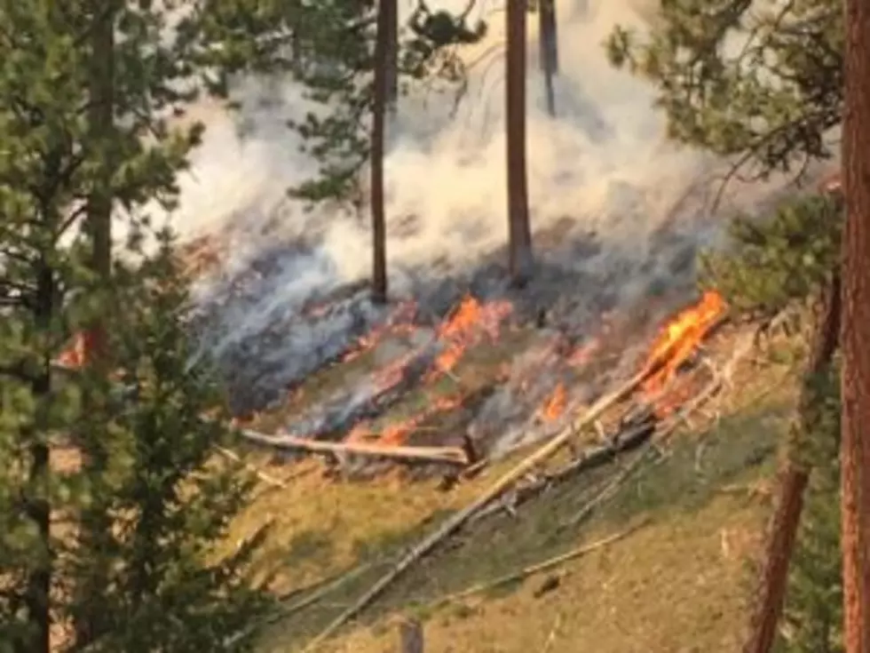 Forest Service plans spring burning in Frenchtown, Sixmile, Petty Creek