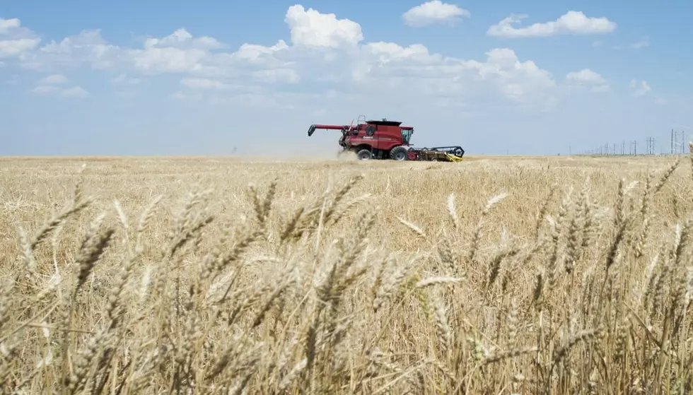 Ag Department to send $12B bailout to farmers hurt by Trump&#8217;s tariffs