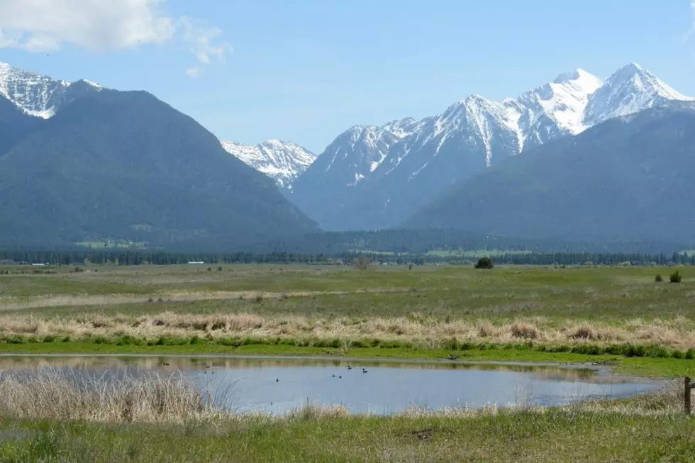 Interior Department OKs use of GMOs on wildlife refuges; no immediate impact on Montana