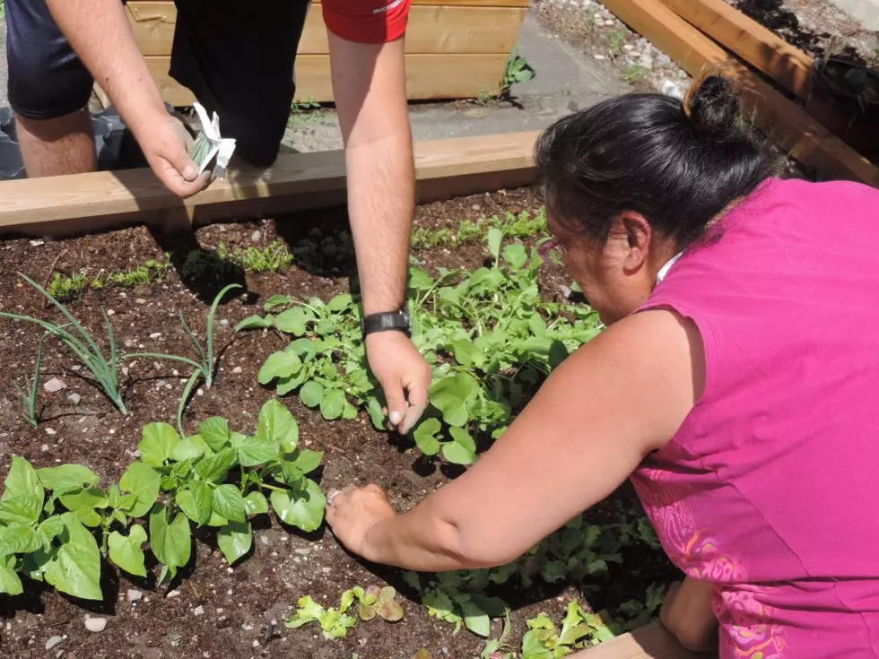 Sustainable Missoula: Gardens help Missoula&#8217;s Native American population get healthy