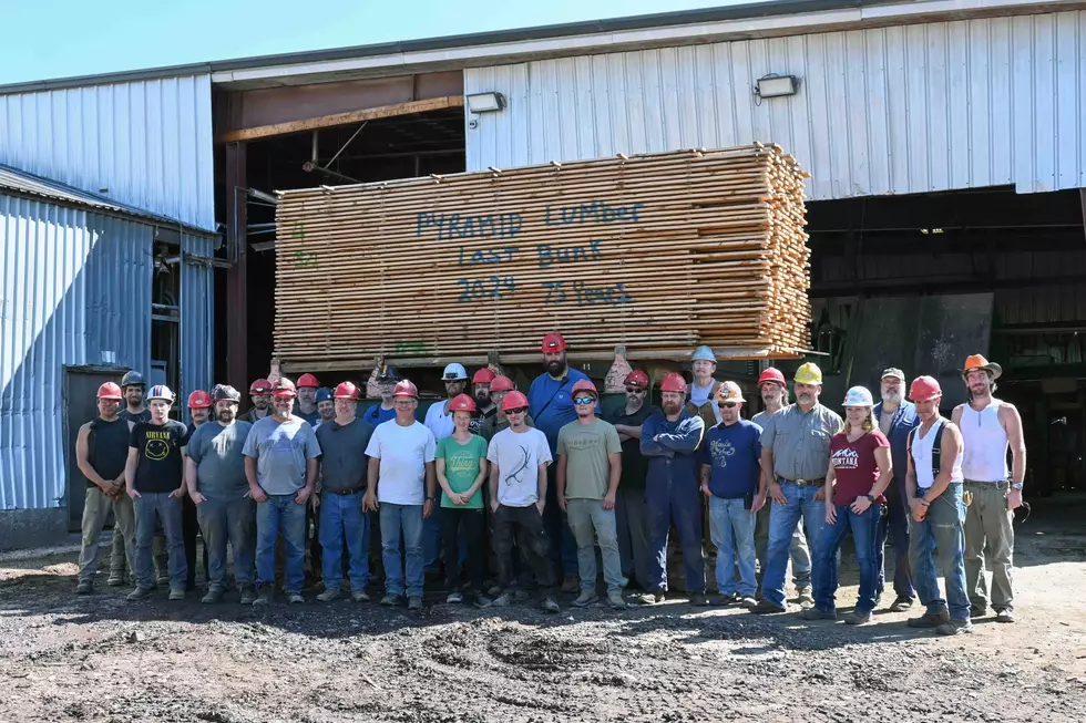 Pyramid processes last of its lumber; prepping for auction