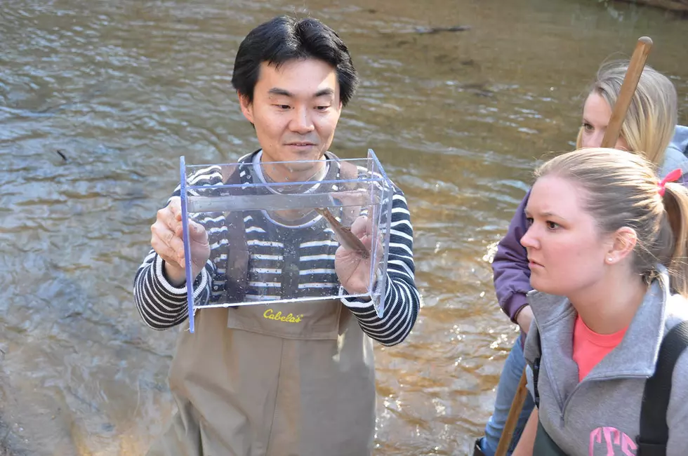 UM names leading researcher as first endowed chair of fisheries science