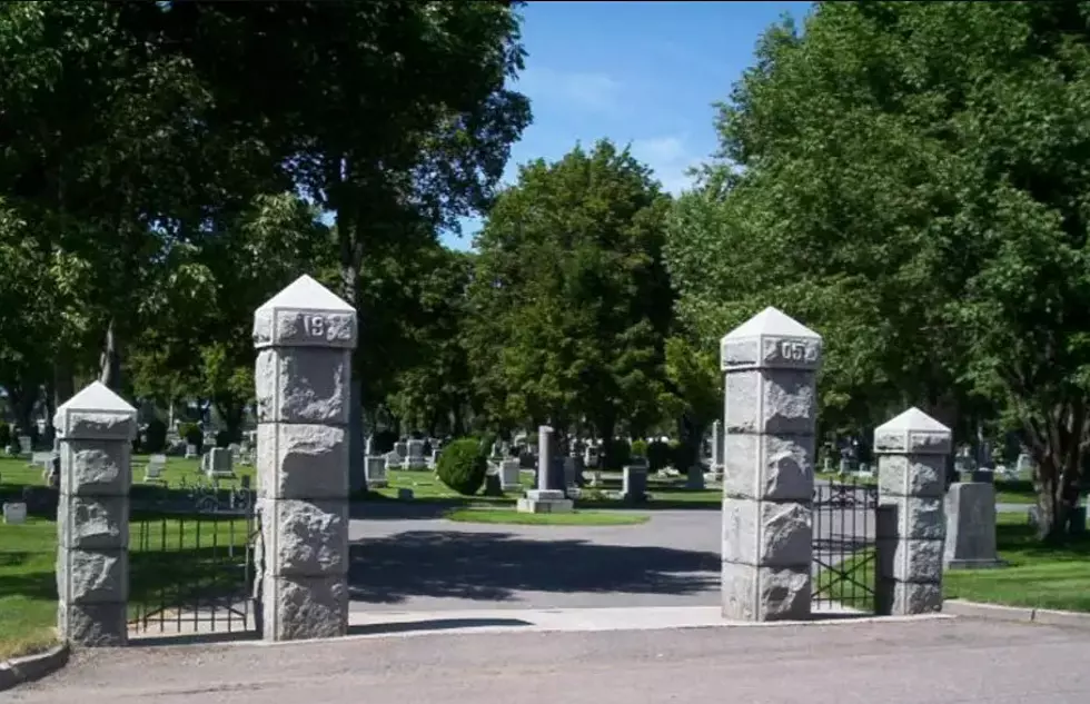 Dust to dust: City signs off on eco-friendly green burials