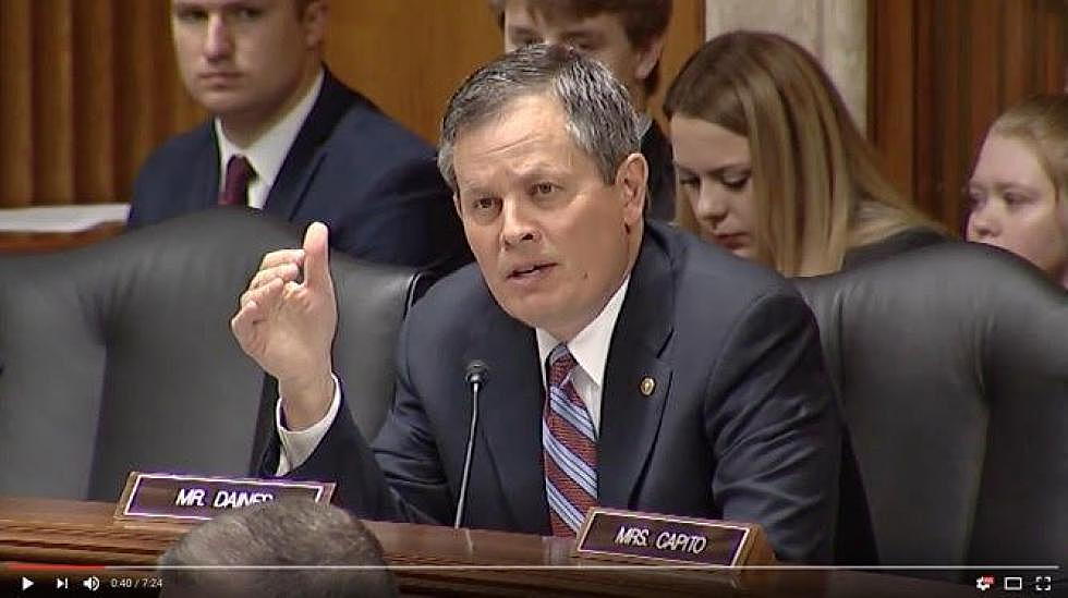 Daines, Tester seek to reverse &#8216;disastrous&#8217; 9th Circuit ruling USFS review