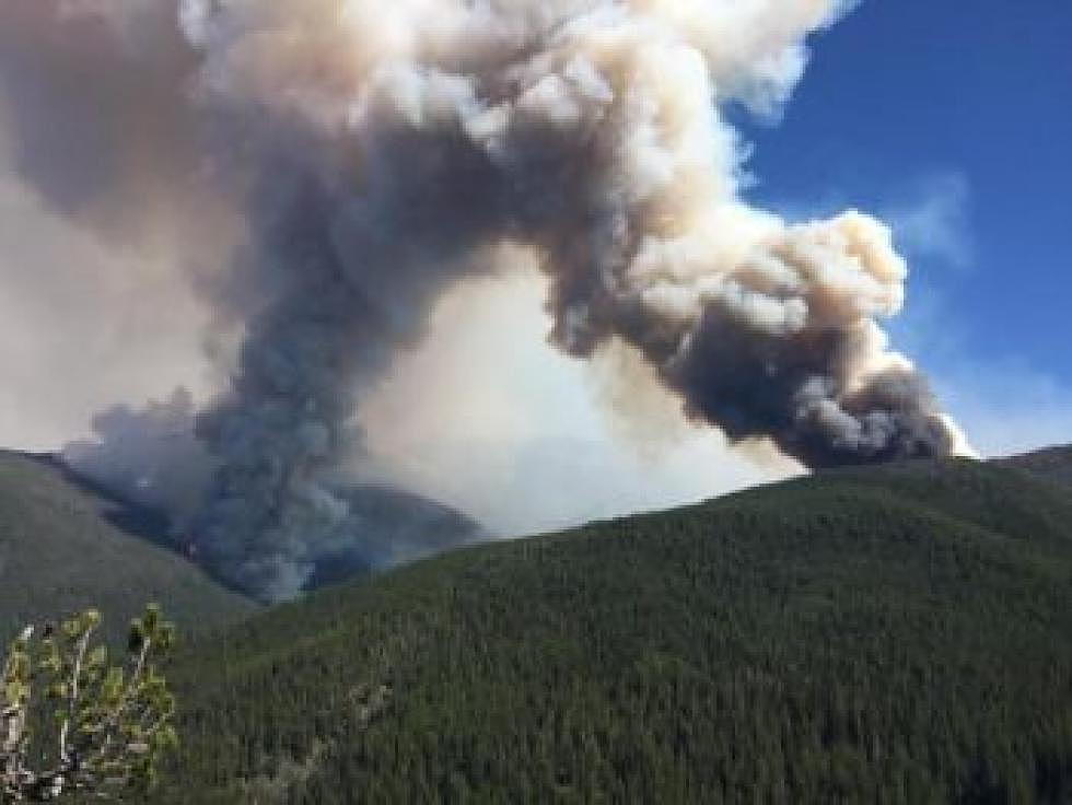 Daines lauds Forest Service decision to salvage dying timber from Sunrise fire