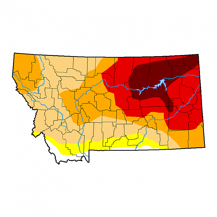 Montana Drought Monitor 750x750 