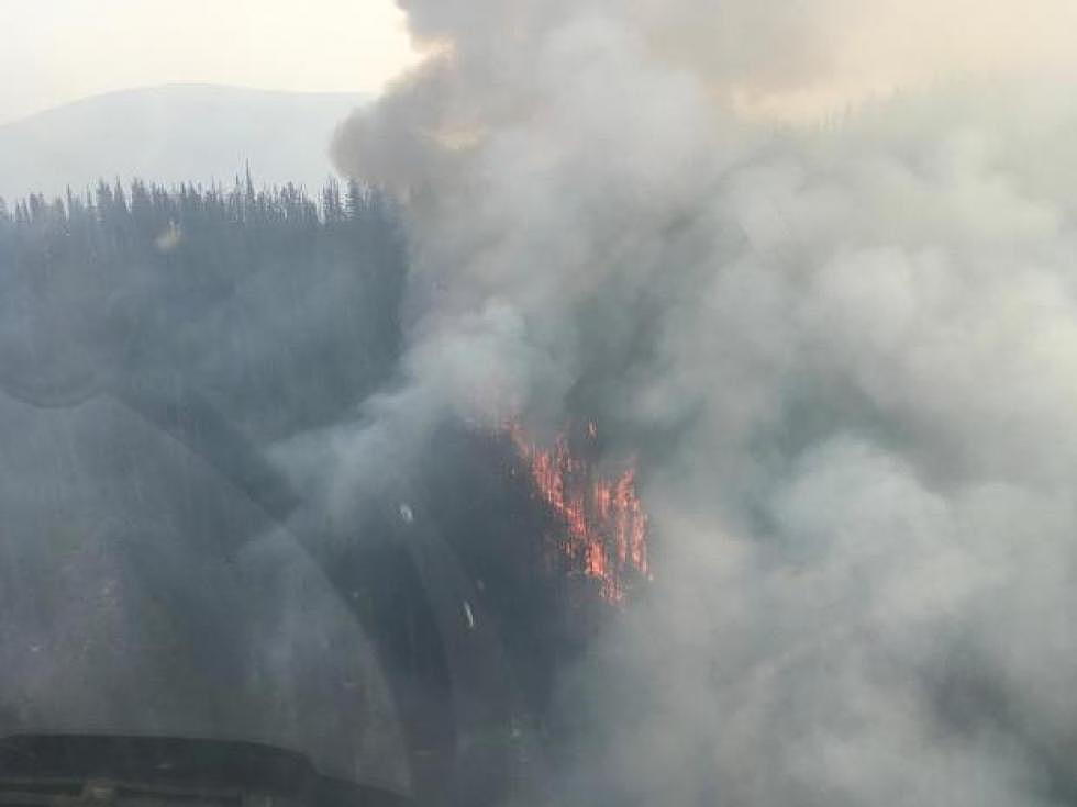 Aerial view of Lolo Peak Fire west ridge on August 10, 2017 (PNW3, James Price, Air Operations, inciweb.com)