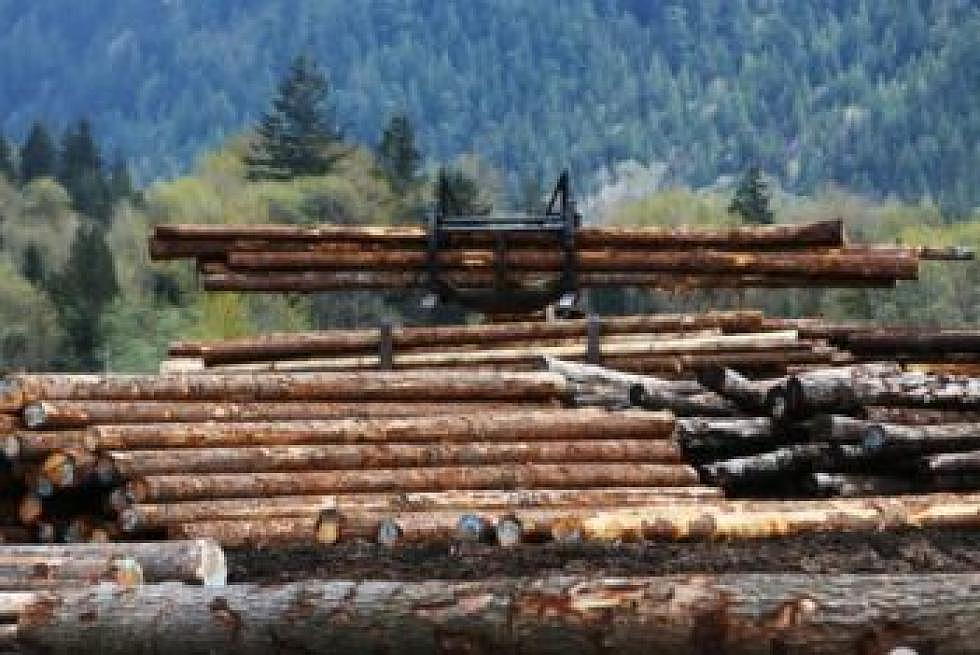 Lumber mill owners in &#8220;no hurry&#8221; to reach deal with Canada