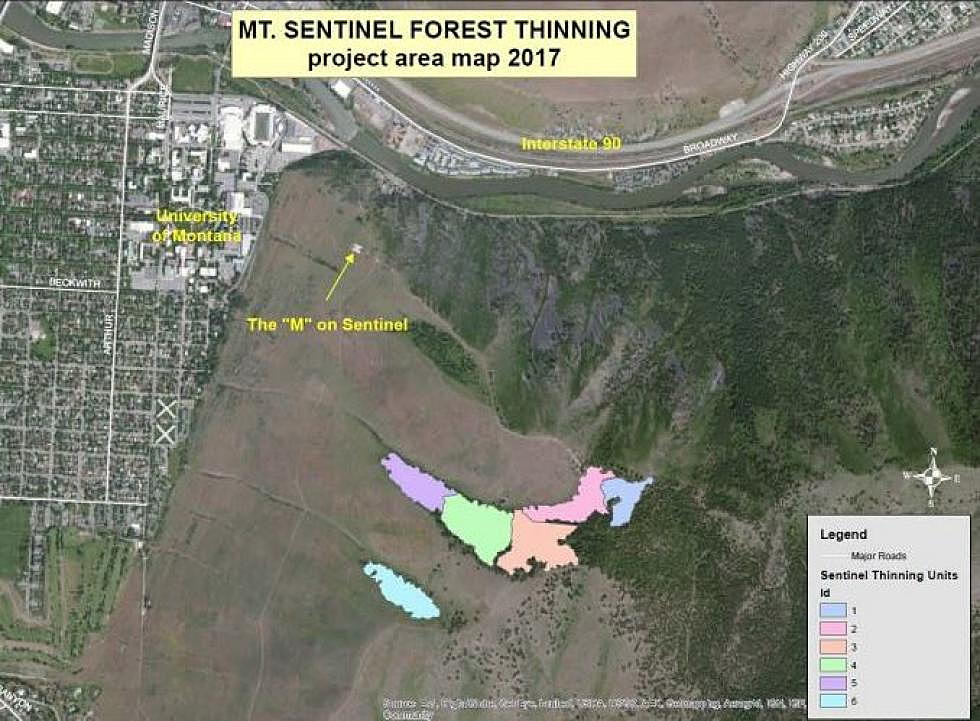 Crews begin forest thinning on Mount Sentinel to improve stand health