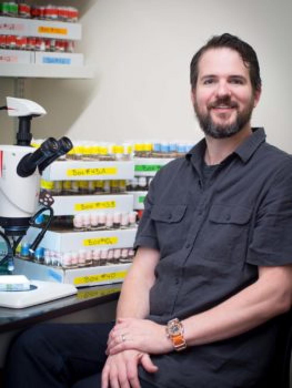 UM researcher lands $1.8M NIH grant to study insect bacteria for virus protection