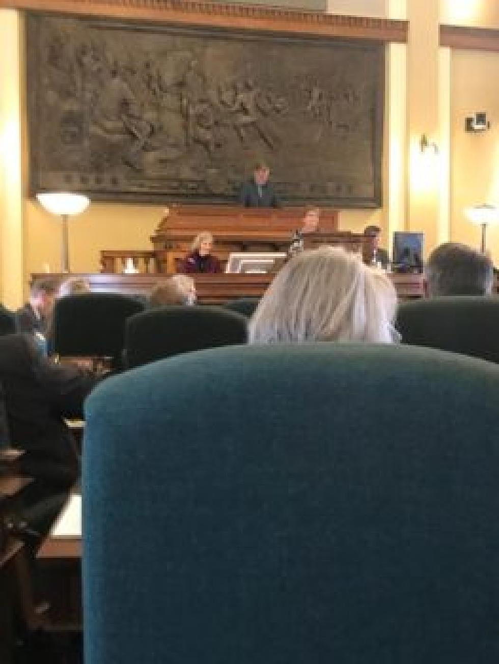 <em>The Montana Senate has its first debate of the special session on revised rules. (Chuck Johnson)</em>