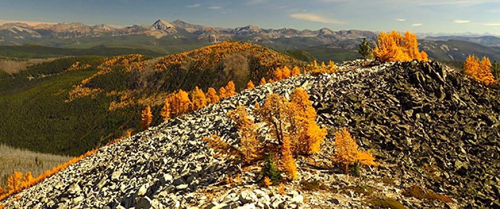 Daines looks to release 450,000 protected acres from wilderness study designation