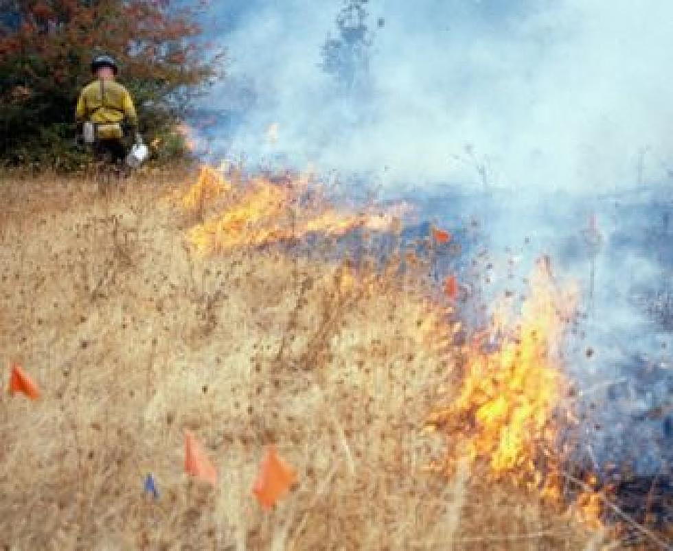 Setting a research-prescribed burn at Baskett Slough National Wildlife Refuge, Oregon. (Oregon State University)