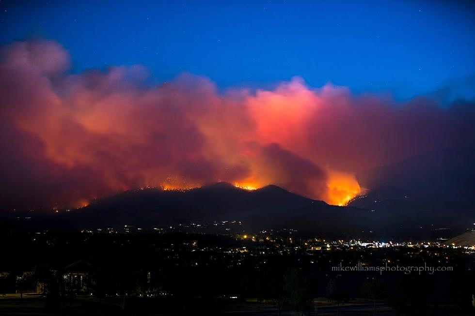 Forest Service proposes replanting 1,633 acres burned in Lolo Peak fire