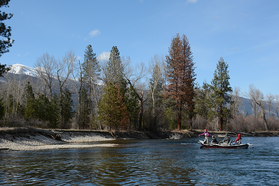 Bitterroot River Fwp Commission Accepts Donation Of Stevensville Fishing Access Site Missoula Current