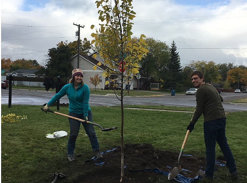 Sustainable Missoula: Can trees really save the planet? It's ...