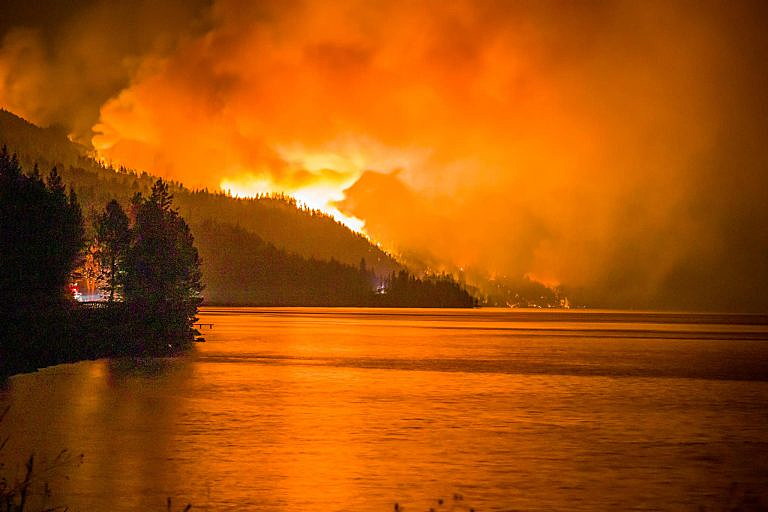 Boulder 2700 Fire Destroys More Than 15 Homes Along Flathead Lake Pets   Finley Fire 768x512 